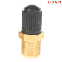 Válvula De Neumático Para Automóvil Y Motocicleta 1/4 NPT 1/8 NPT M10*1 Monitoreo De Presión De Neumáticos Material De Cobre Puro - details 9