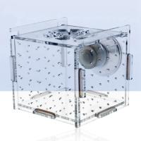 Caja De Reproducción Para Peces Acrílico Transparente Y Duradero Con Ventosa Para Acuario Accesorio Ideal Para Clavel Peces Agresivos Y Guppys - details 3