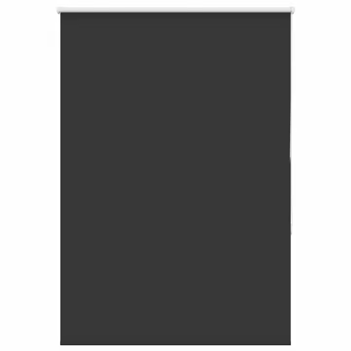Estor Enrollable Opaco negro 110x175 cm Tela Ancho 105,7 cm - 1