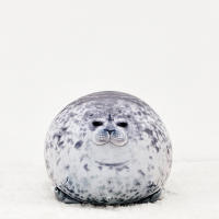 Almohada De Oso De Mar De 30CM Juguete De Peluche Suave Para Niños Kaiyukan Popular Regalo Para Fanáticos De Los Animales Del Mar - details 3