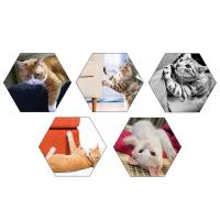 Tapete De Rascado Para Gatos Resistente a Rasguños Material De Sisal Asiento De Gato Duradero Para Entrenamiento Y Ejercicio Interior - details 13