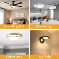 Kit De Luz LED Para Techo Modulador LED 20W 40W 60W 100W Redondo Reemplazo De Placa LED Para Ventilador De Techo 220V 110V - details 5