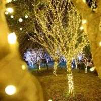 Luces LED De 10M/20M Con Enchufe EU Para Exterior Decoración Navideña Y Bodas Fiesta Y Año Nuevo Luces De Calle Para Jardín Y Casa - details 2