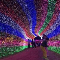 Luces De Navidad De Cadena 10m 20m Con Enchufe Guirnalda De Hadas LED Para Decoración De Hogar Árbol De Navidad Boda Fiesta - details 7
