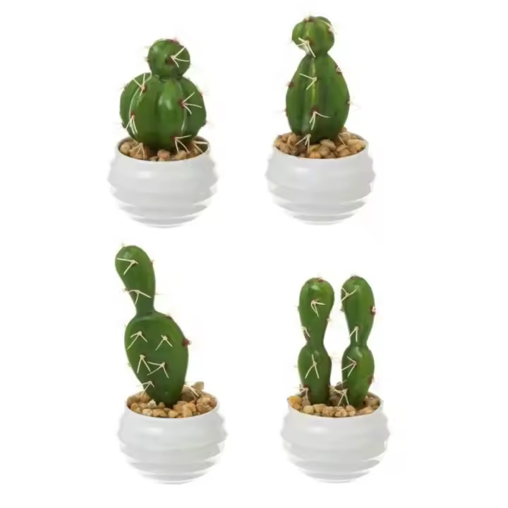 Dcasa Set de 4 plantas artificiales Cactus de plástico blanco de Ø 7x14 cm - 1