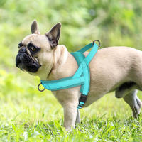 Harnés De Nylon Suave Para Perros Pequeños Y Medianos Sin Arrastre Harnés De Piel Para Pitbull Y Perros Chihuahua Pug Ajustable Y Padded - details 19