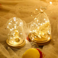 30 Packs Luz De Cadena Operada Por Batería Tema De Cuento De Fadas 20 LED Mini Luz De Cadena Impermeable Para Bodas Fiestas DIY Decoración De Habitación - details 2