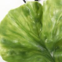 Simulación Hojas De Lechuga Verde Falsa Vegetal Modelo Realista Adorno De Lechuga Decoración Para Restaurante Y Ventanas De Tienda - details 5