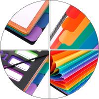 Organizador De Proyectos Expansible De 12 Bolsillos Folder Plástico De Gran Durabilidad Para Mensual A4 Tamaño Multicolor - details 2