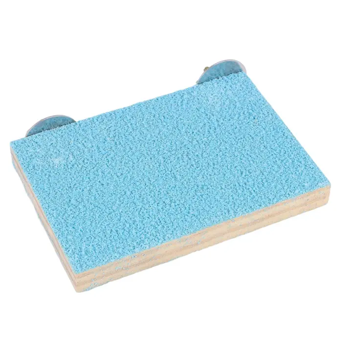 Plataforma de Perchas para Pájaros de Madera Natural Juego de Molienda Limpio para Mascotas como Loros Pajaritos Ratones Ratones Accesorios de Jaula de Amor para Papagayos Budgies Conures Lovebirds - 1