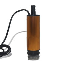 Bomba De Transferencia Submersible Para Diesel Aceite Y Agua 12V 24VDC Para Coche Camping Pesca Kit De Bomba De Punta De Cerillo - details 5