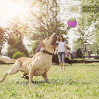 Bola de Perro chillona de 3 piezas, Juguetes de bola de Perro de Scoopy Doo Limpieza de dientes - details 2