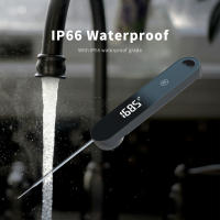 Termómetro Digital De Carne DT-127 Con Probes Plegables Y Recargables IPX5 Impermeable Para BBQ Y Freír Profundo Herramienta De Cocina - details 3