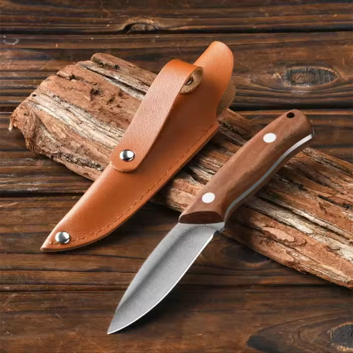 Cuchillo De Frutas De Acero Inoxidable Portátil Con Funda Para Cocina Y Hogar Corte De Frutas Y Verduras Cuchillo Para Exteriores - 1