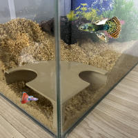 Túnel De Esquina Para Acuario Cueva De Pecera Ornamentos Para Tanque De Peces Para La Cría Juego Y Descanso De Mascotas Acuáticas - details 0