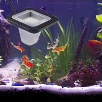 Juego De Alimentador Para Acuario Con Ventosa Plástico Rojo Para Alimentación De Cucarachas Y Alimentos Líquidos Para Peces - details 15