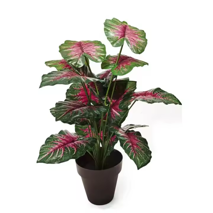 STARLEY-PLANTA ARTIFICIAL TARO 70 CM,ATENCION HAY VARIACION DE MACETA - 1