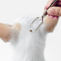 3 Pcs Herramientas De Eliminación De Pulgas Y Gatos Para Perros Pinzas De Extracción De Pulgas Y Gatos Accesorios Para Mascotas - details 8