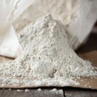 Tierra de Diatomeas 1,5 Kg Micronizada -  ECODIATOMEA - details 0