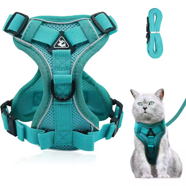 Arnés y Correa para Gatos, ajustable y con Tiras reflectantes, antiescapes, ideal para pasar perros y Gatos (Azul Lake, L) - 1