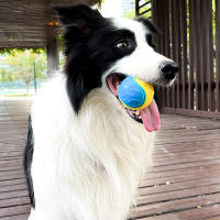 Juguete Interactivo Para Perros Bola De Masticable Y Limpieza De Dientes Resistente Al Mordisco Suave De TPR Juguete Squeaky Para Mascotas - details 7