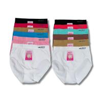 ComfyWear - Bragas de Lycra Sin Costuras de Talle Alto para Mujer - Tallas: XL Y XXL  - STV 8002 - Colores Variados y Básicos - details 0