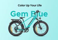 ENGWE E26 Bicicleta Eléctrica para Adultos, 26"x4.0" Fat Tire, Bicicleta de Montaña Eléctrica de 250W, Batería de 48V 16Ah, Alcance de hasta 140KM, Shimano 7 velocidades, Suspensión Dual MTB, Pantalla LCD, Prácticos accesorios gratuitos - Verde - details 9