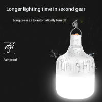 Lámpara LED Recargable Usb para Acampar Portátil Iluminación de Emergencia Linternas Luz de Picnic al Aire Libre Lámpara de Tienda Colgante - details 2