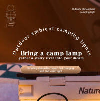 Lámpara De Aceite Vintage Portátil 4000mAh Para Camping Luz De Tenda Decoración De Festival Uso Exterior Emergencia Y Interior - details 0