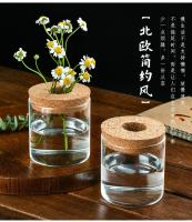 Maceta Creativa Para Plantas Hidroponicas Miniatura En Vidrio Transparente Decorativa Para Casa Y Salon Uso En Mesas - details 3
