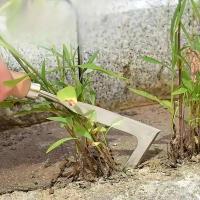 Mano De Hierba De Acero Inoxidable Herramienta De Rastrillo Manual Para Eliminar Malas Hierbas Con Dientes Agudos Para Raizamiento De Grama - details 0