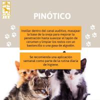 PINOTICO GATOS, limpiador de oídos de Laboratorios Pino. Envase de 125ml - details 1