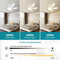 Ventilador de techo con luz y Control Remoto, Ventiladores de Techo Silencioso con Casquillo E27 de 30/40W, 6 Aspas, 3 Velocidades, Luz Fría/Neutra/Cálida, para Dormitorio, Sala de Estar - details 2
