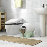 PawHut Arenero para Gatos con Cubierta Desmontable Caja de Arena para Gatos de Plástico con Pala Carga 4 kg 53x51x48 cm Verde - details 1