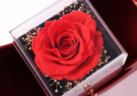 Collar Colgante Rojo De Lujo Con Zirconia Para Mujer Joyería De Moda Romántica Para Novia Caja De Regalo De Apple Regalo De Navidad 2023 - details 5