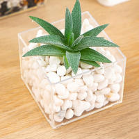 Jarrón De Plástico Transparente Y Minimalista Moderno En Forma De Cuadrado Para Decoración Del Hogar Y Estudio Contenedor De Plantas Hidroponicas - details 9
