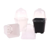 Juego De 5 Macetas Cuadradas Pequeñas Con Domos De Humedad Transparentes Para Plantas En Iniciación Moderno Estilo Plástico - details 7