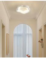 Lámpara De Techo Minimalista LED Para Entrada Pasillo Y Balcones Iluminación Interior Creativa En Acrílico Luz De Ambiente Doméstico Moderna Y Eficiente - details 5