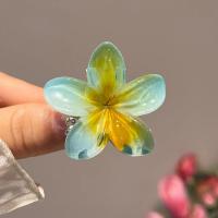 Pinza Para El Cabello De Tamaño Pequeño Con Diseño De Flores Y Gradientes Accesorio De Moda Para Mujeres Barra De Lazos De Plástico Para Decorar El Cabello - details 7