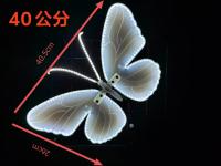 1-Pack Luces LED De Mariposas Para Exterior Dinámicas Y Estáticas Para Crear Un Ambiente Festivo En Bodas Arches De Novios - details 0