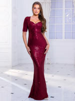 Vestido Maxi De Noche Con Encaje Y Cintura Imperio Manga Corta Diseño Clásico Para Fiesta De Baile Y Bodas Vestido De Cóctel Estirado - details 1