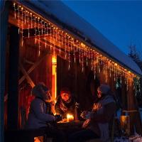 Luces De Navidad LED Colgantes Impermeables Con Pitón De Escalada Para Exterior Luces De Fairy Conectables Para Fiesta De Vacaciones - details 3