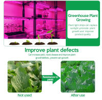 Luces De Crecimiento Para Plantas USB DC 5V Espectro Completo Lámpara Phyto En Tira De 2m 3m Para Semillas Flores Invernadero Y Plantas Hidroponicas Iluminación - details 4
