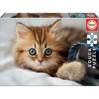 Educa Puzzle 200 piezas gatito  Medida montado: 40 x 28 cm. Educa 17154 - details 0