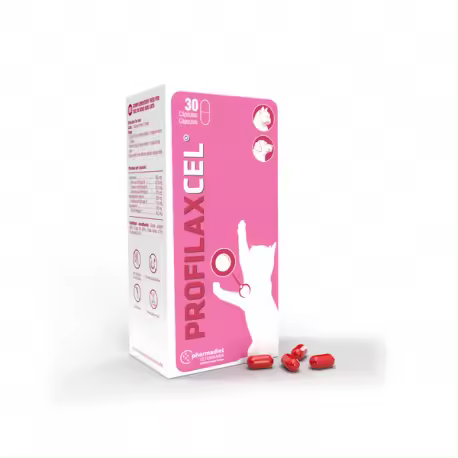 PROFILAXCEL 30 CAPSULAS Pharmadiet - 1