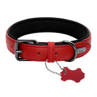 Collar De Cuero Para Perros Ajustable Y Padded Para Pequeños Medianos Y Grandes Incluye Accesorios Para Pug Bulldog Francés - details 7