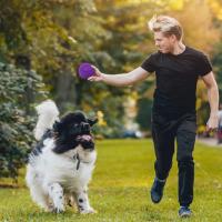 Juguete Para Perros De Tamaño Medio Y Grande Bola De Masticar Para Dientes De Perro Libre De Bisfenol a No Tóxico Espinosa - details 2