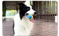 Bola De Goma Para Perros Resistente a Mordeduras Con Sabor a Carne Para Entrenamiento Y Diversion️ Juguetes Para Perros Para Evitar Daños - details 5