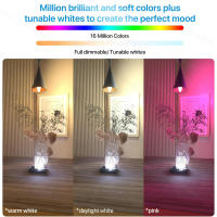 Bombilla LED Inteligente Ewelink E14 Wifi Zigbee RGBCW Vela Control Remoto Alexa Google Home Yandex Alice Smartthings Para Dormitorio - details 0