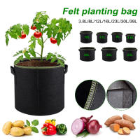 Macetas De Tela Para Plantas Respirables De 3/5/7/10 Gallones Bolsas De Cultivo Para Tomates Fresas Patatas Jardinería - details 2